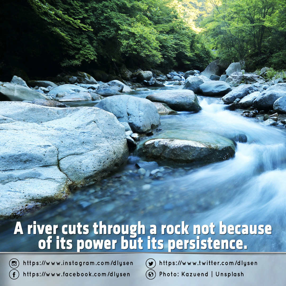 The wolf saw the rabbit